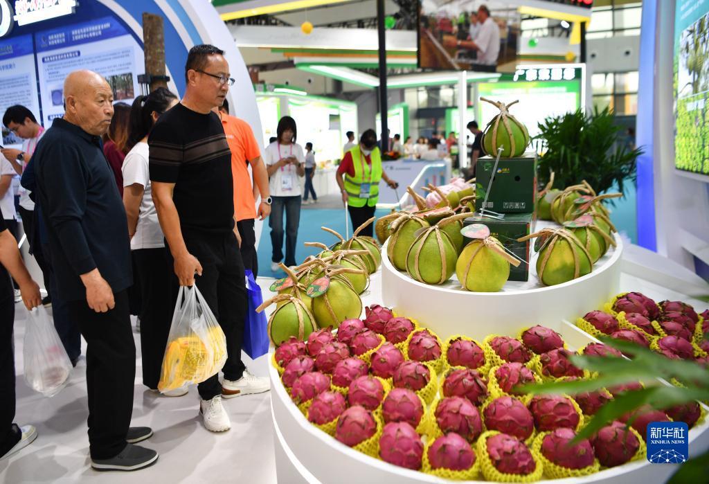 菠菜游戏源码